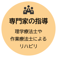 専門家の指導：理学療法士や作業療法士によるリハビリ